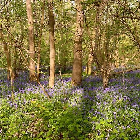 Bluebell Annexe Villa Little Grandsen Buitenkant foto